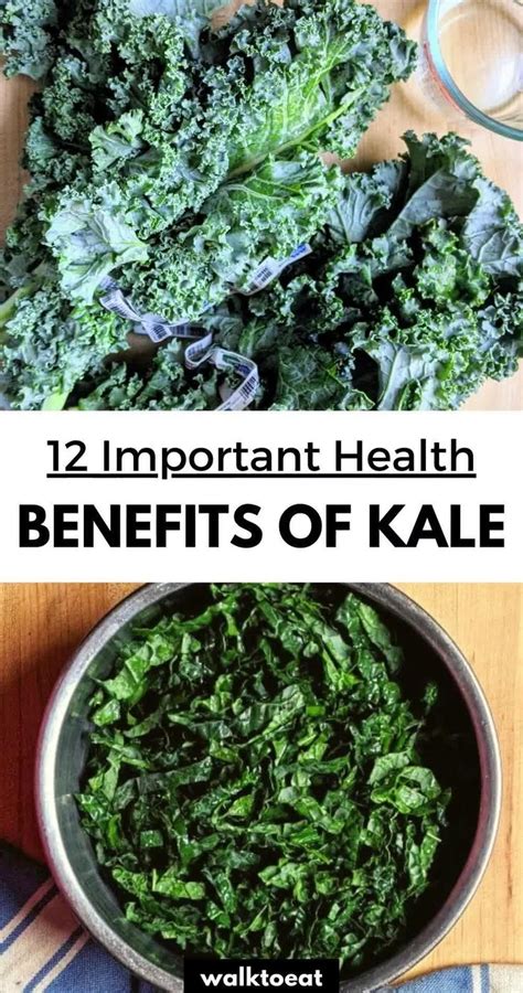 12 Health Benefits of Kale: Why You Should Eat More Kale.